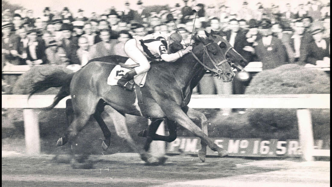 Preakness photos from years past